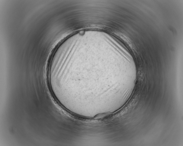 X0000112921135200909211047
