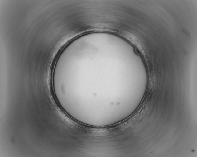 X0000112921136200909211047
