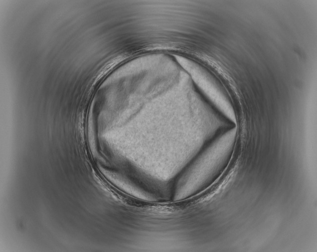 X0000112921137200909211047