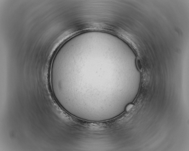 X0000112921138200909211047
