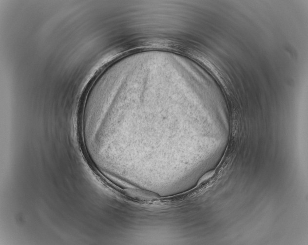 X0000112921139200909211047