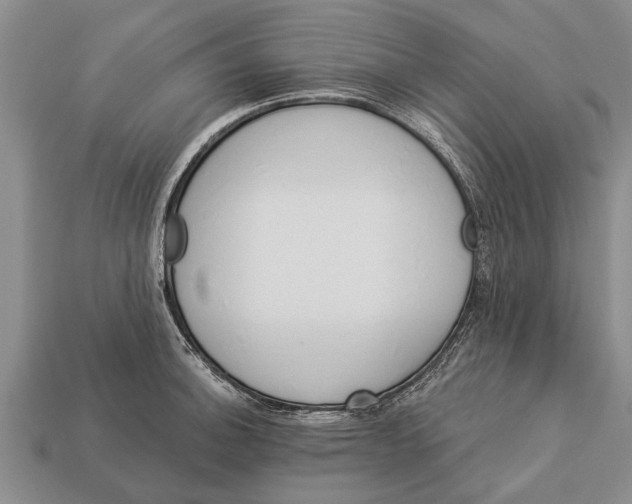 X0000112921140200909211047