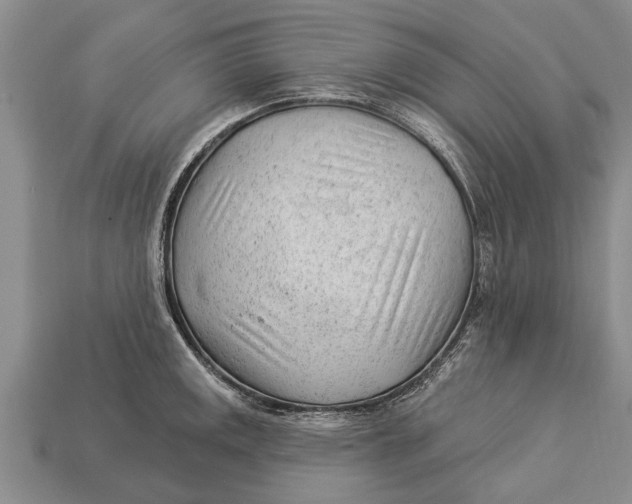 X0000112921141200909211047