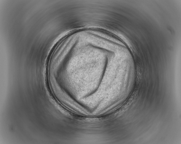 X0000112921142200909211047