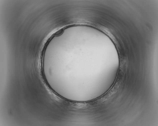 X0000112921144200909211047