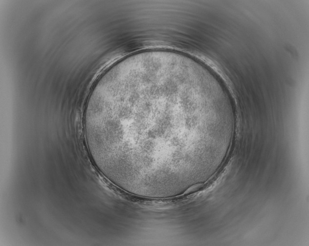 X0000112921145200909211047