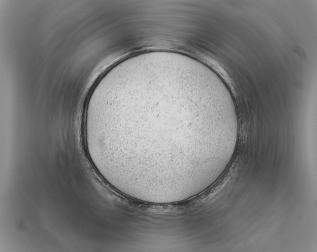 X0000112921146200909211047