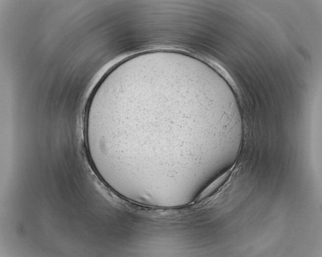 X0000112921148200909211047