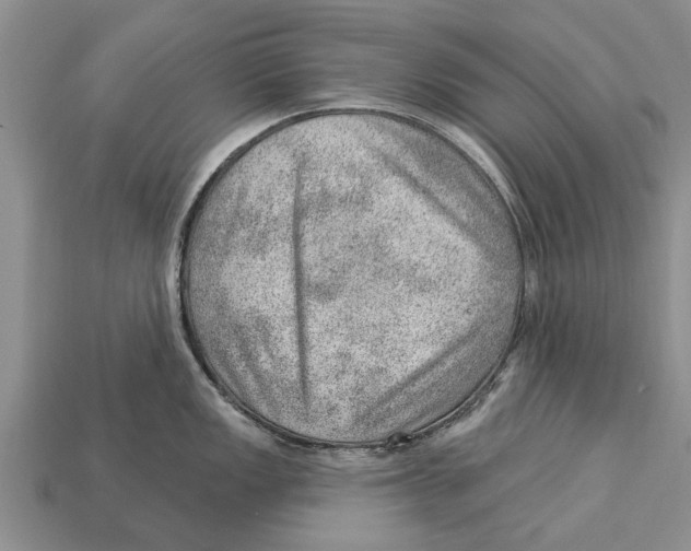 X0000112921149200909211047