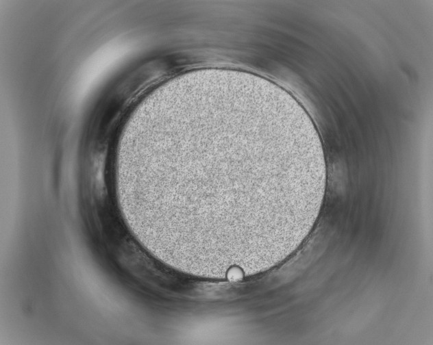 X0000112921150200909211047