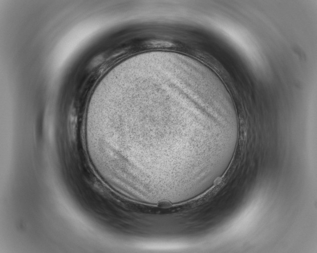 X0000112921151200909211047