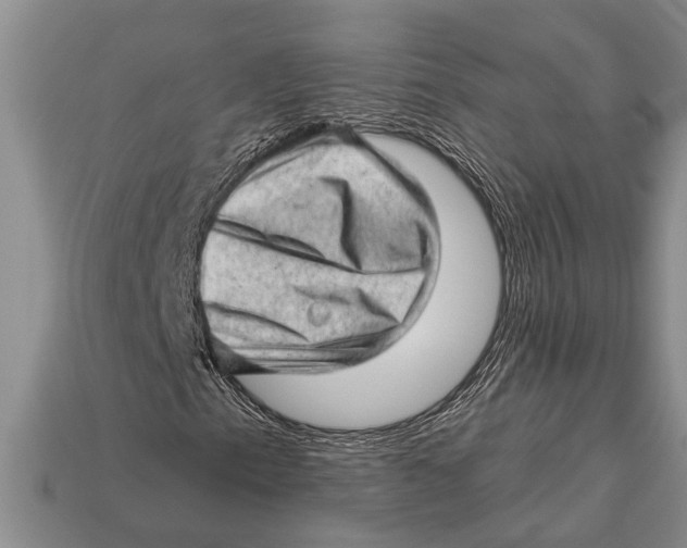 X0000112921153200909211046