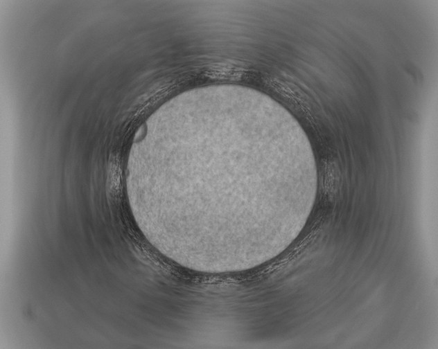 X0000112921154200909211046