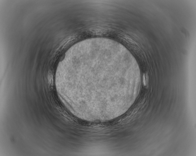 X0000112921155200909211046