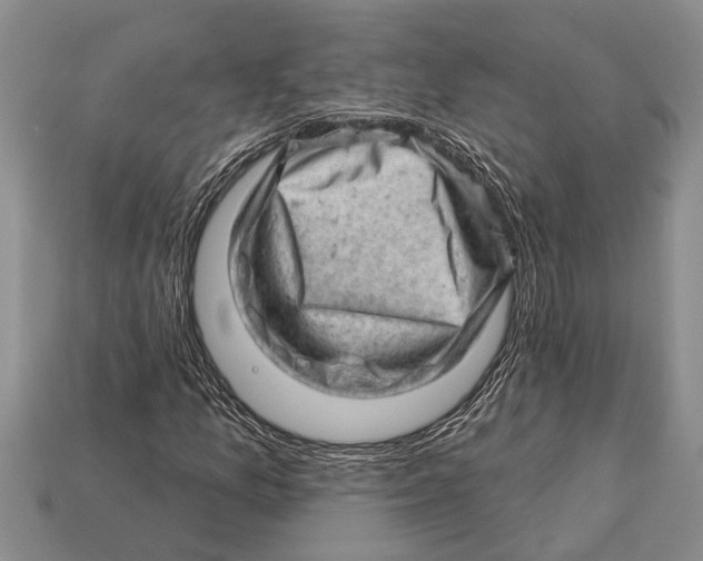 X0000112921157200909211046