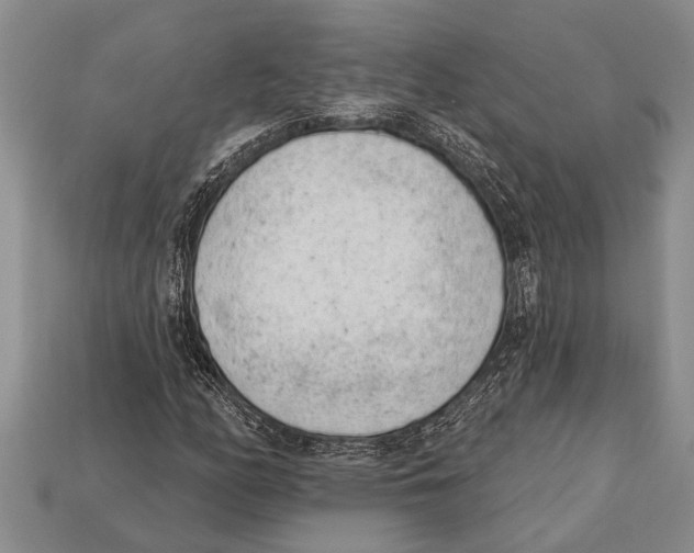X0000112921158200909211046