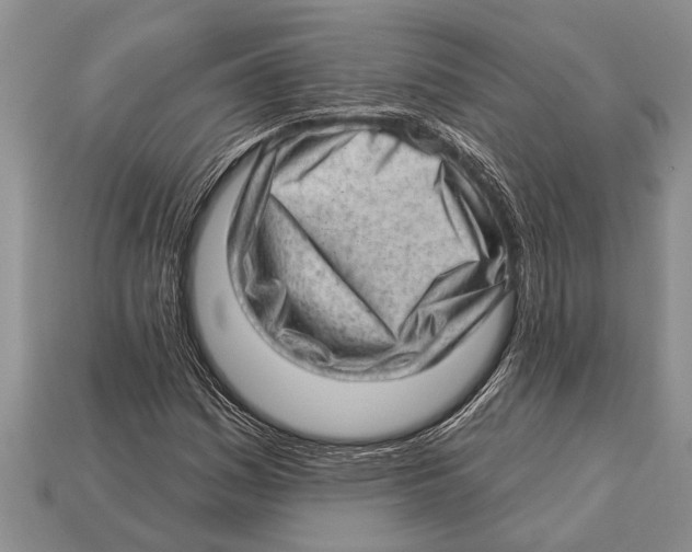 X0000112921161200909211046