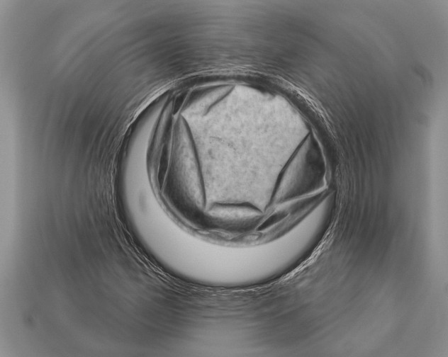 X0000112921162200909211046