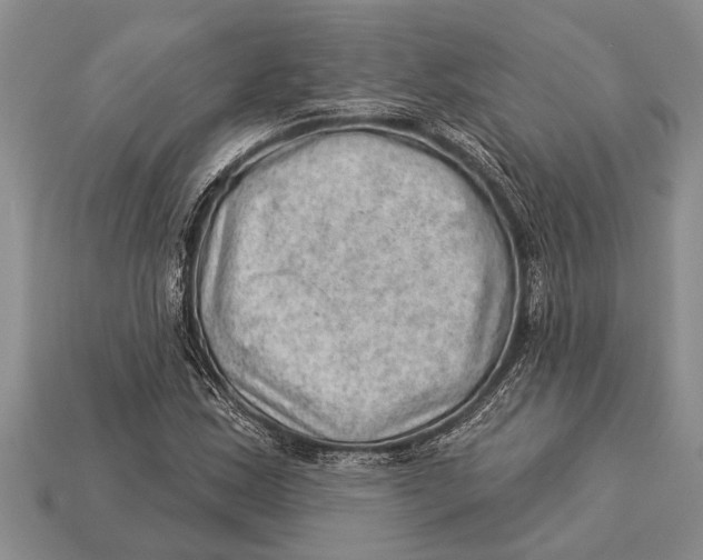 X0000112921163200909211046