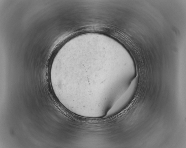 X0000112921164200909211046