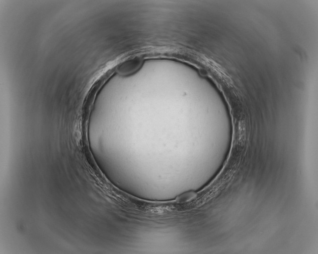 X0000112921165200909211046