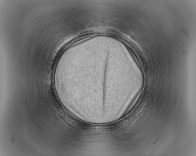 X0000112921166200909211046