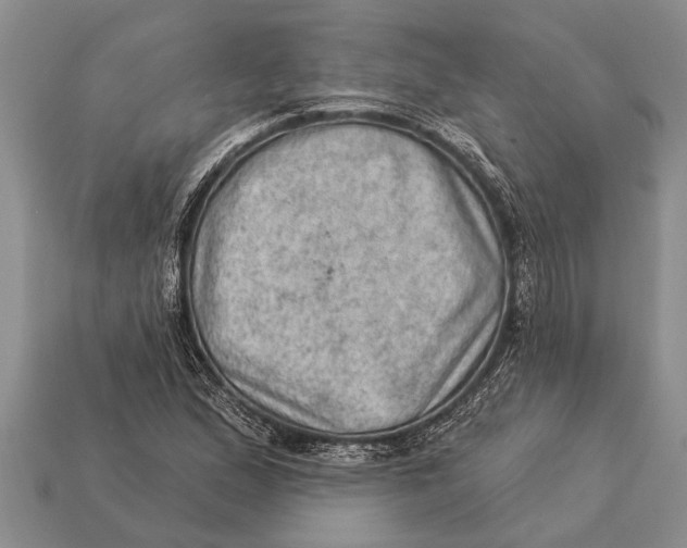 X0000112921167200909211046