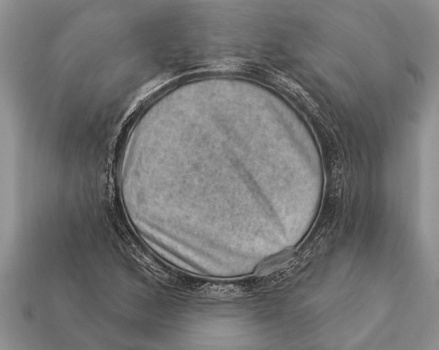 X0000112921168200909211046