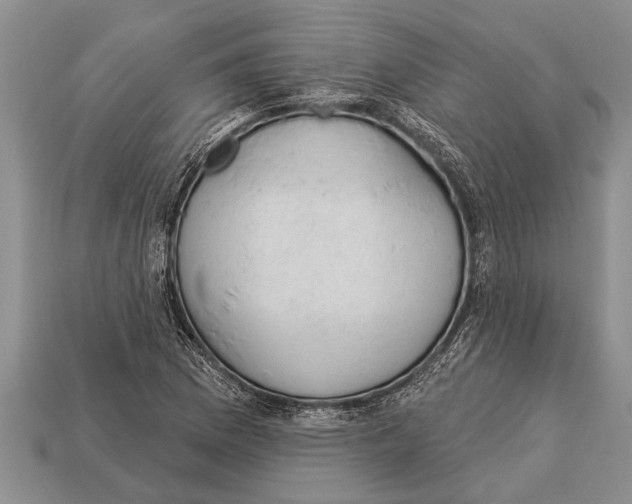 X0000112921169200909211046