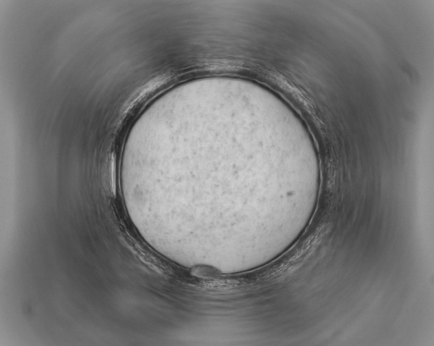 X0000112921171200909211046