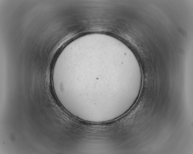 X0000112921173200909211046