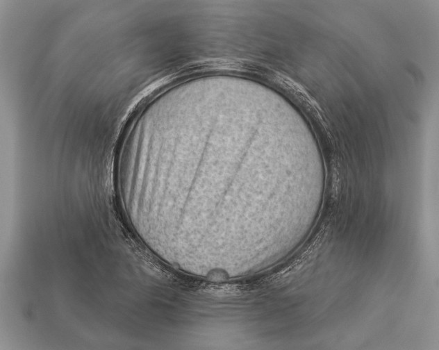 X0000112921174200909211046