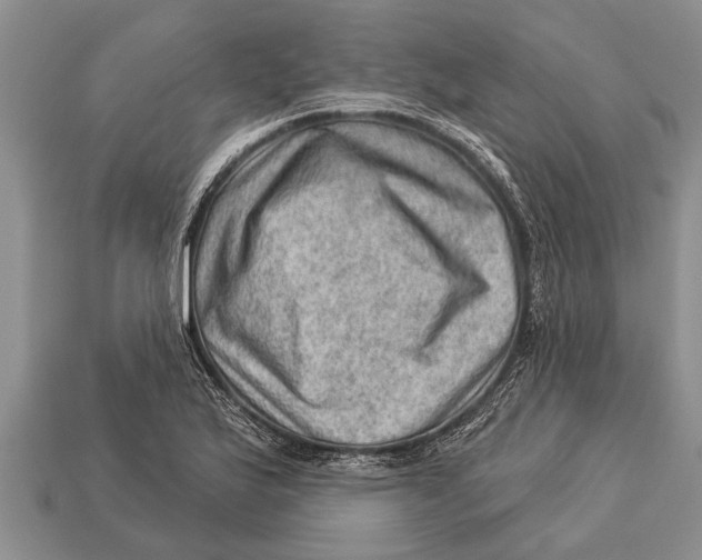 X0000112921175200909211046