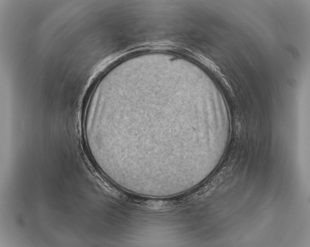 X0000112921176200909211046
