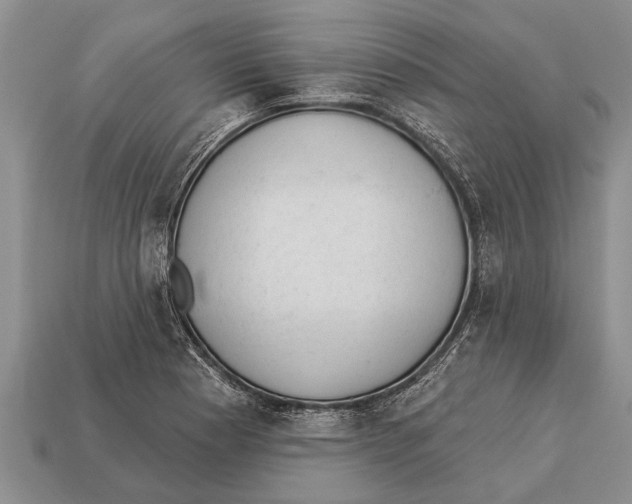 X0000112921177200909211046