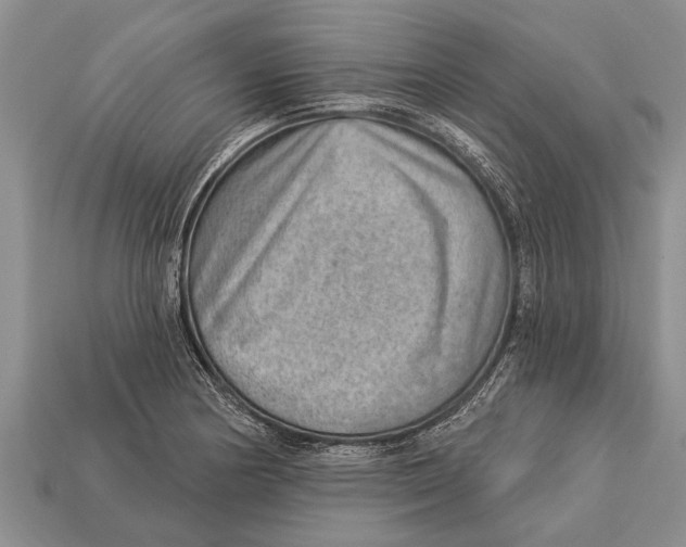 X0000112921178200909211046