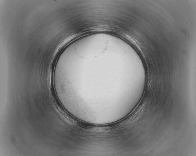 X0000112921179200909211046