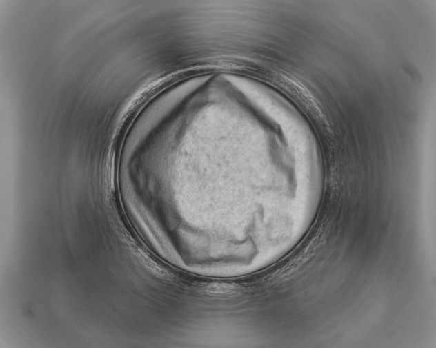 X0000112921180200909211046