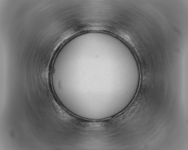 X0000112921181200909211046