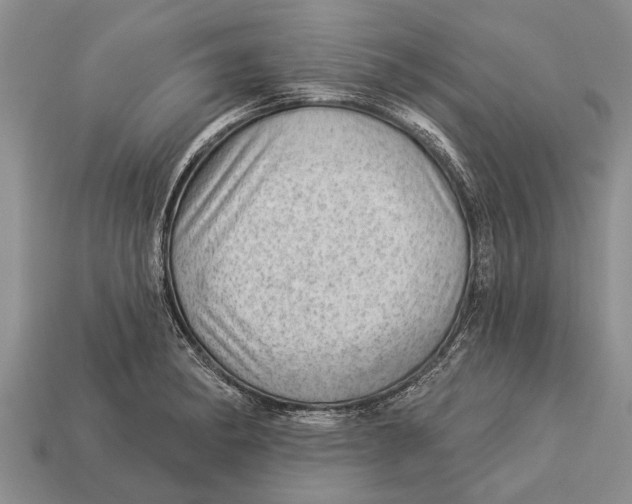 X0000112921182200909211046