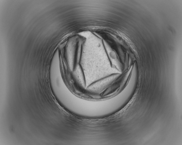 X0000112921185200909211046