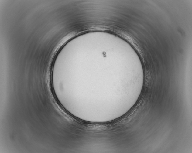 X0000112921187200909211046