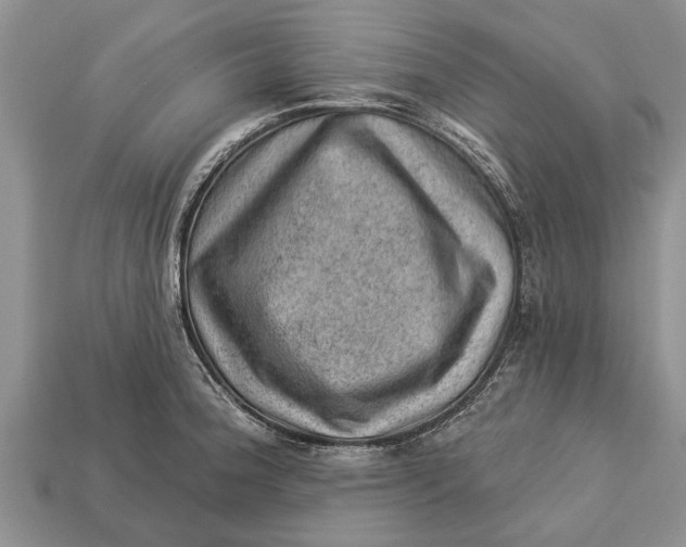 X0000112921188200909211046