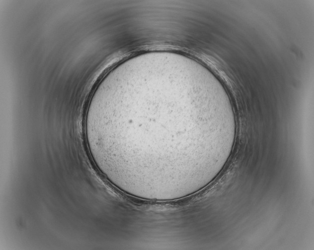 X0000112921189200909211046