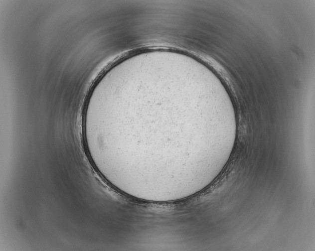 X0000112921191200909211046