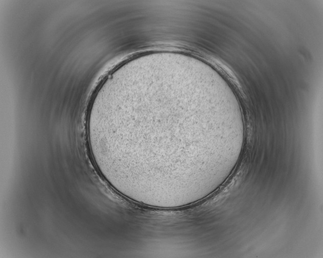X0000112921192200909211046