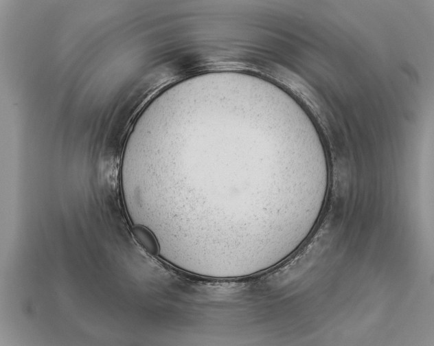 X0000112921193200909211046