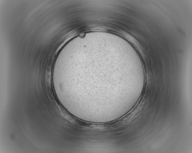 X0000112921194200909211046