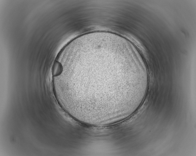 X0000112921198200909211046
