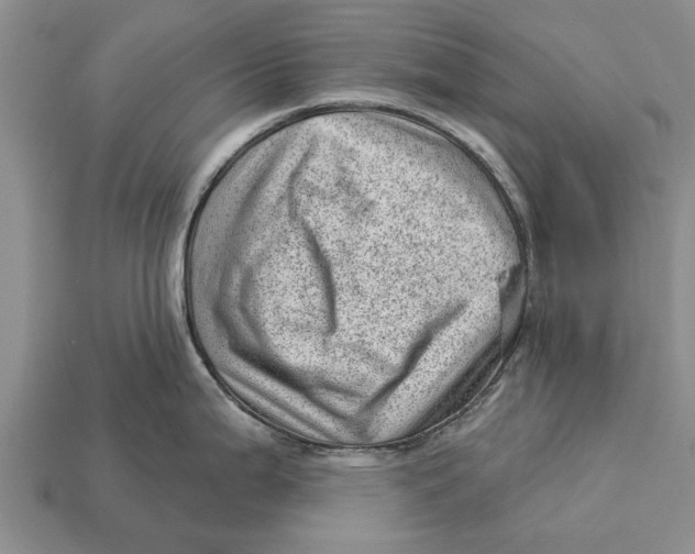 X0000112921199200909211046